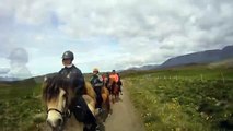 Horse Riding - Icelandic Horses for Kidsgdgdg