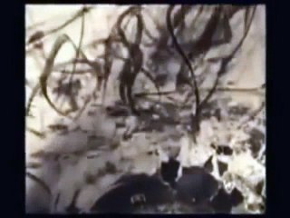 Deep Web in Ünlü Beyin Yakan İlluminati Videosu 2016