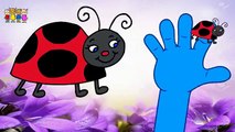 Baby Rhymes   Tomato- Brinjal-Watermelon-Gorilla Finger Family Cartoons   Family Rhymes