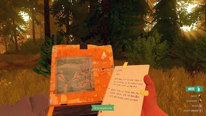 Firewatch 456: Explore the Mysterious Forest