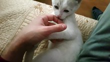A bit of play with Pablo