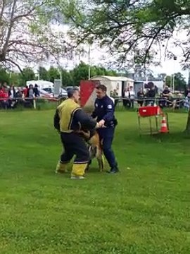 Pont-à-Mousson Portes ouvertes du club canin