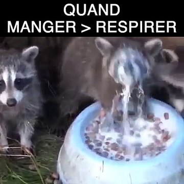Quand tu préfères manger que respirer