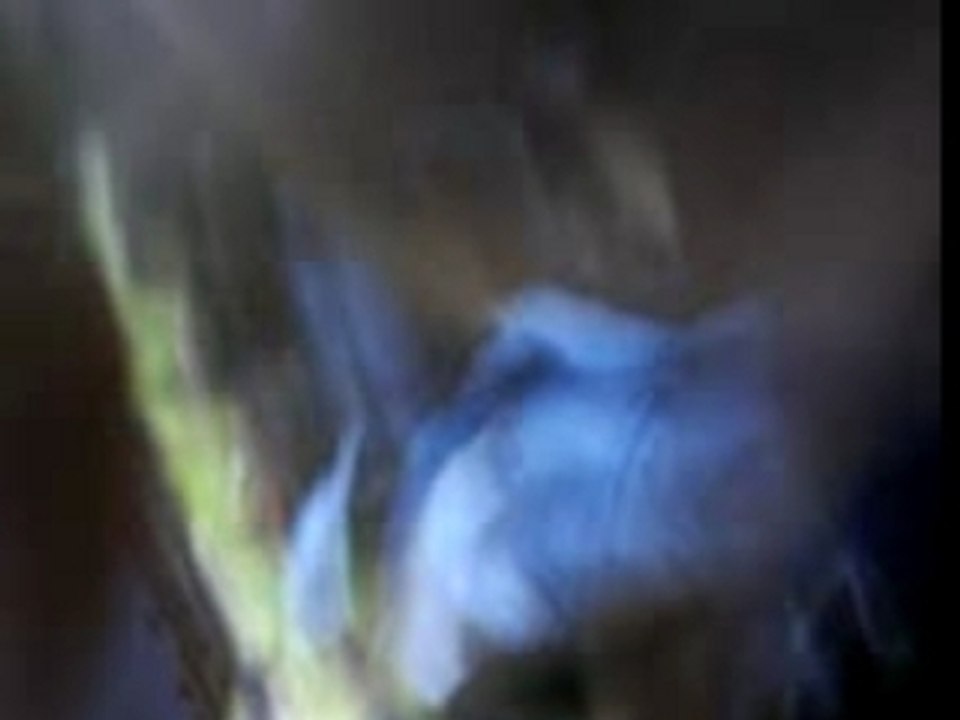 Bordeaux vs lyon (anti-lyonnais) 2007 2008