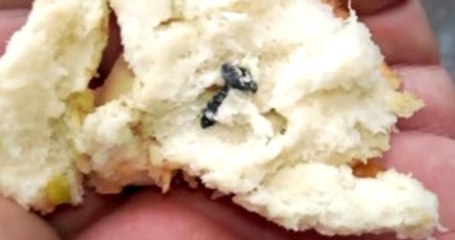 Halk Ekmeğin İçinden Çıkan Vida Dişini Kırdı