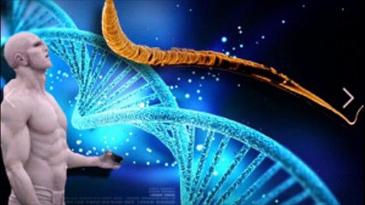Les Aliens ont créé notre code génétique et l’ont signé avec le nombre 37 ?