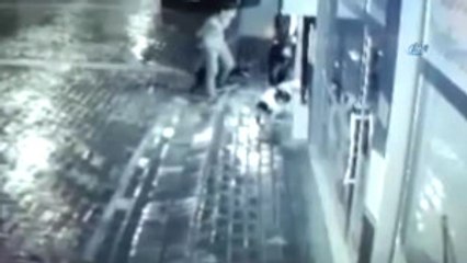 Manisa'da Sokak Köpeğine İşkence Böyle Görüntülendi