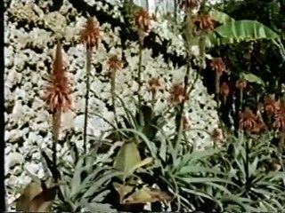 Esclavas del Crimen (1987)_0002