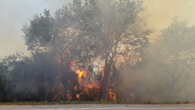 Fast-Moving Pineapple Wildfire in St. Lucie County Burns 60 Acres