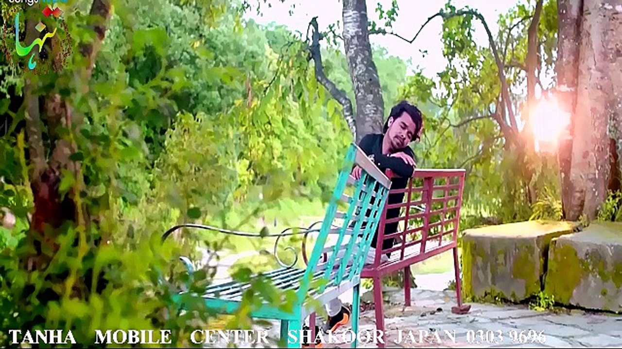 Nice SONG