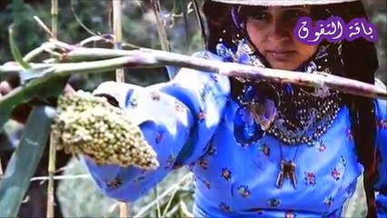 مدري النهدين او جبل نقم عالي على المدينة │ اغنية جديدة للفنان الشريجة