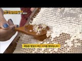 좋은 꿀 구별법[살림9단의 만물상] 109회 20150510
