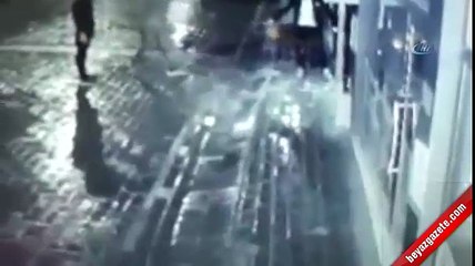 Sokak köpeğine işkence