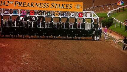 2017 Preakness Stakes