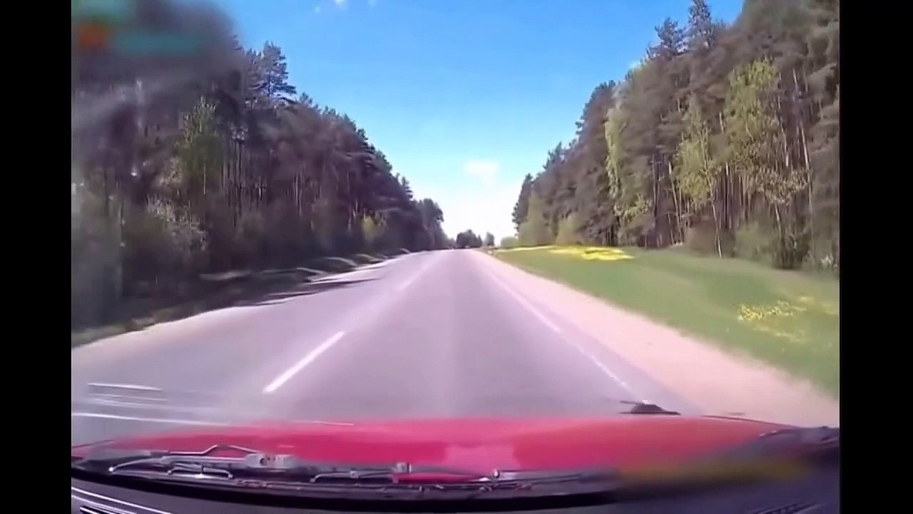 Top 10 Animal Car Crashes   Top 10 Car Animal Crashes   Crashes with animals and cars acci