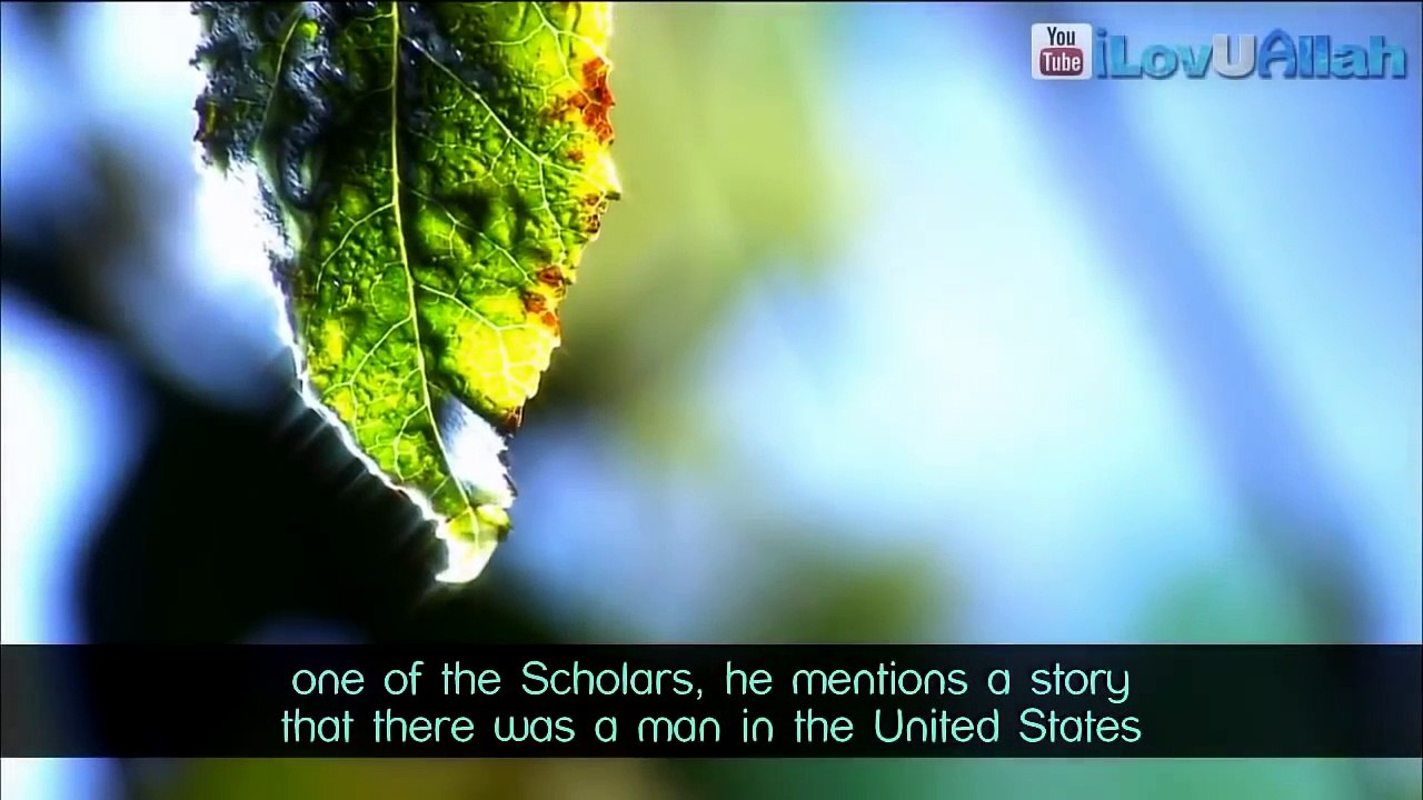 04."Islam Liberated Me" - True Story ᴴᴰ ┇ Amazing Reminder ┇ by Mufti Ismail Menk ┇ TDR ┇