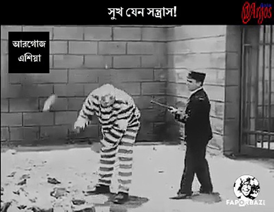 bdhi