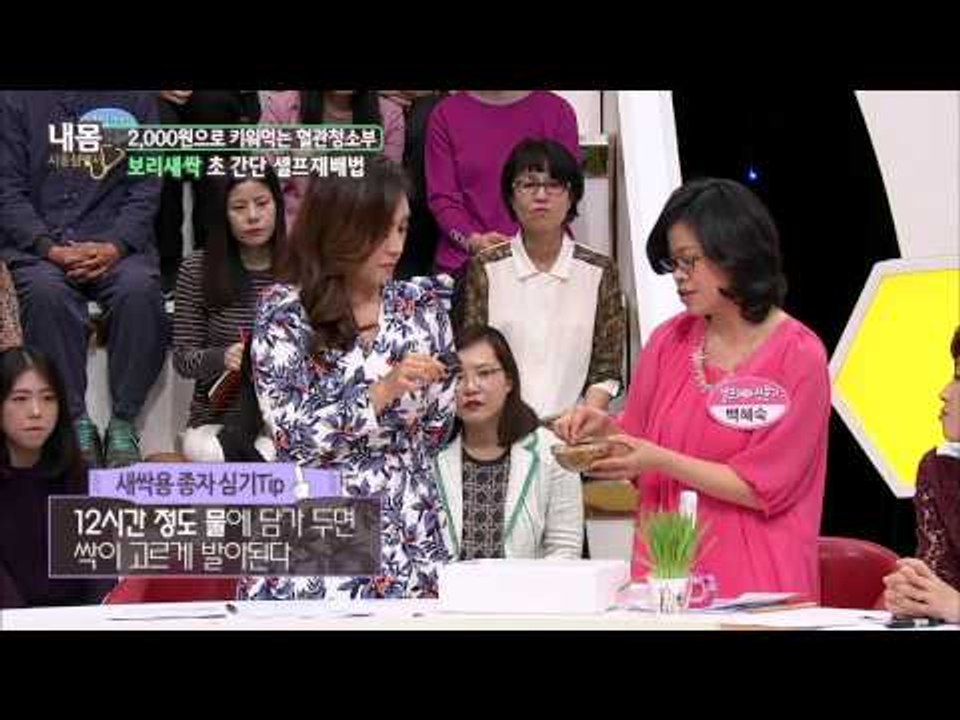 보리새싹 초 간단 셀프 재배 법 [내 몸 사용 설명서] 44회 20150402