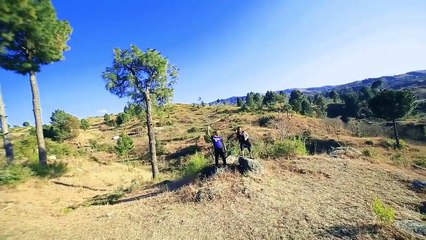 Muhabbat Kar Da Lewano Di Pukhtoon Yam Neloo New Song 2016 Afreen Pari Jhangir