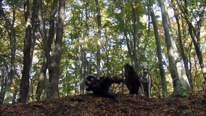 Robin Hood S03E11 The Enemy of My Enemy