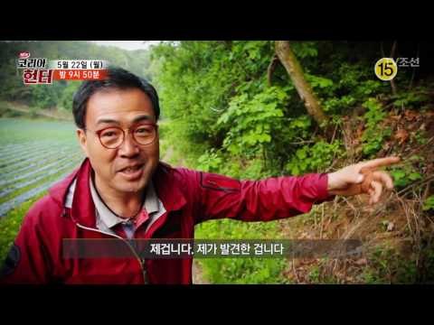 신이 내린 야생산삼을 찾아라!_코리아헌터 51회 예고