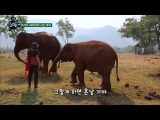 코끼리에게 싸움거는 여자[기막힌 세상 요지경]3회 20150325