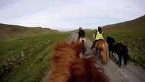 Horse Riding - Icelandic Horses or Kids
