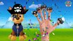 Baby  Songs! Paw Patrol Transforms Into Pirates, Finger Family N