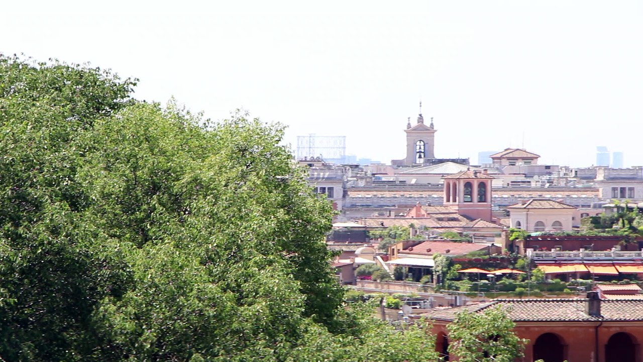 MVI_3781