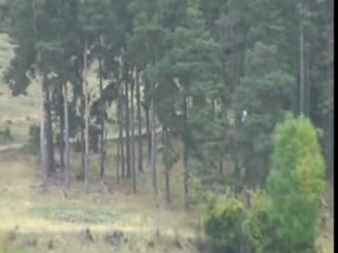 Rallye Finale mende 2007