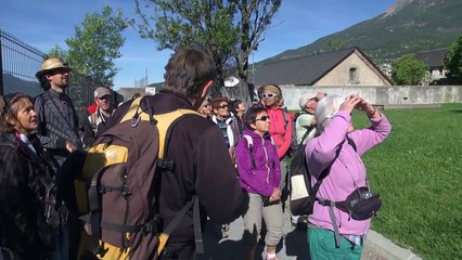 D!CI TV : à la découverte des oiseaux du Roc d'Embrun avec Christian Couloumy