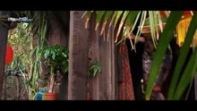 Chien.Binh.Huyen.Thoai-Savage.Dog-2017-Vietsub-720p_41_42