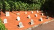 Cannes 2017: Hotel du Cap's Dog Cemetery Backstory | THR News