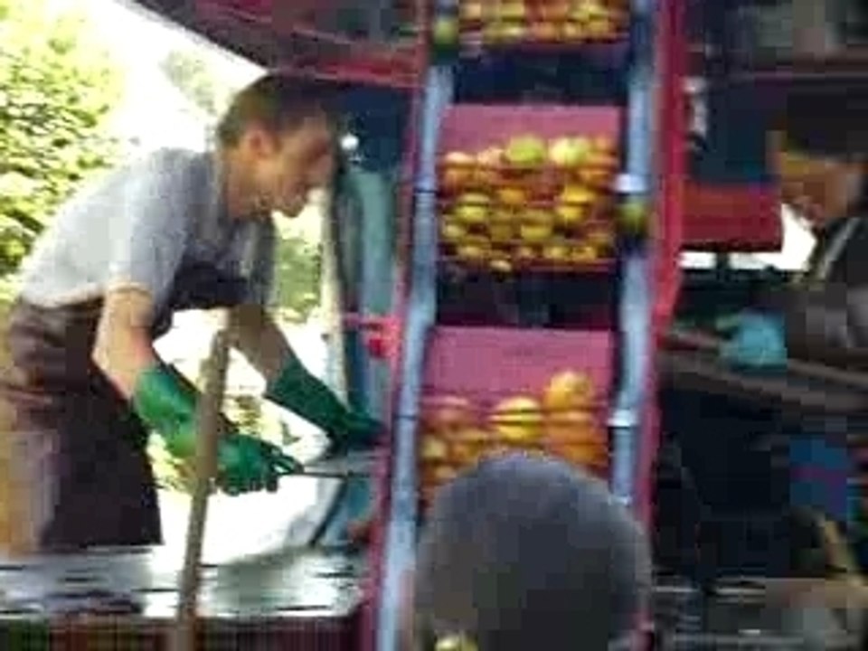 Le pressoir de Bernay la dernière !