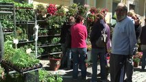 Hautes-Alpes : Gros succès pour la 1e édition du marché du printemps à St Bonnet en Champsaur