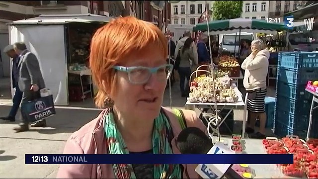 Législatives : 25 candidats dans une circonscription du Nord