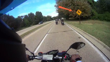 Un motard renversé par un cerf en pleine course !