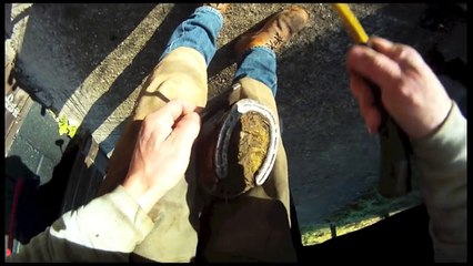 Refaire le sabot d'un cheval... hypnotisant !!