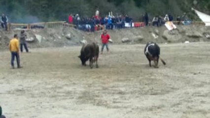 23. Ayder Kültür Sanat ve Doğa Festivali