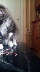 "PITU", JUGANDO CON LAS LLAVES DE MI HERMANA