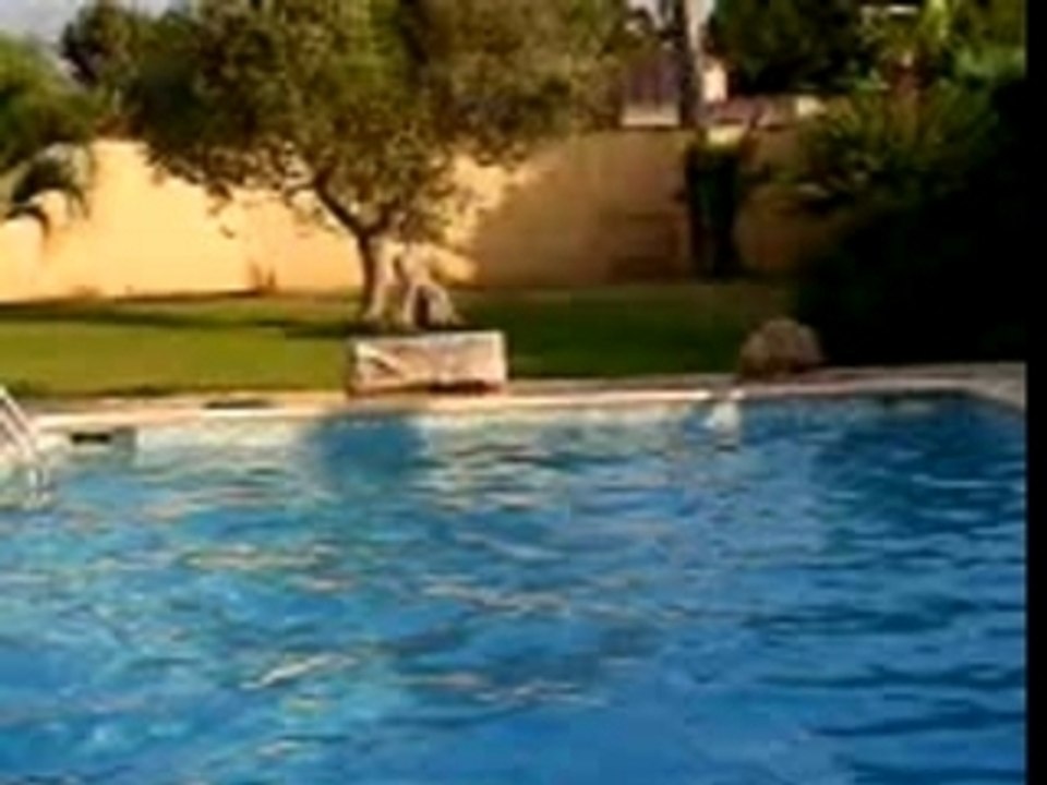 Un plongeon synchronisé