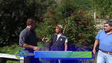 Azul Profundo -las maravillas del mar chilote -pt1