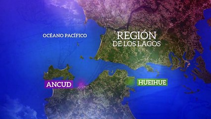 Azul Profundo -las maravillas del mar chilote -pt5