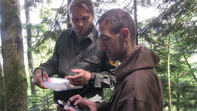 Parcours de suivi de l'ours ouvert au public à Melles