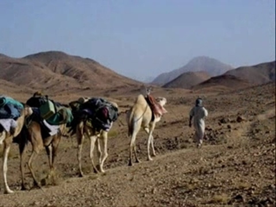 Ouled djellal biskra algerie kader 69310