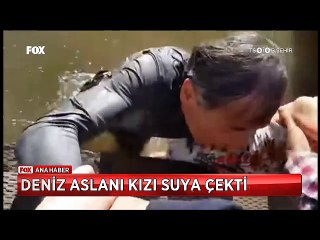 Deniz aslanı sahilde oturan küçük kızı bir anda denize böyle çekti