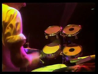 OMD  - Julia's Song (Live 1981)