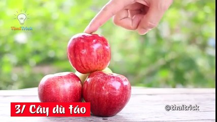 6 mẹo trang trí món ăn cực dễ thương dành tặng các bé