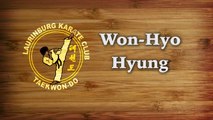 Won-Hyo Hyung, Laurinburg Taekwon-do Club