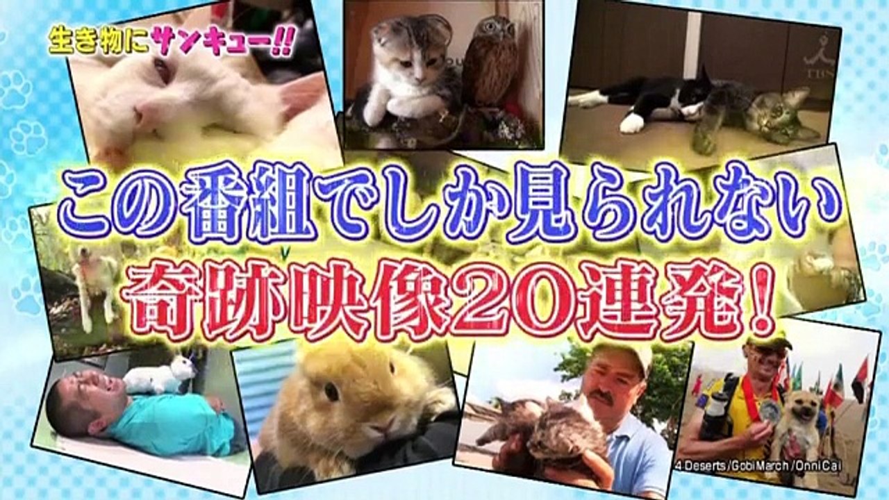 トコトン掘り下げ隊!生き物にサンキュー!! 160928 part1 part 1/2